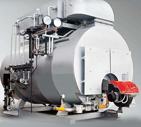 燃气锅炉厂家-银川辉煌乡村旅游开发有限公司